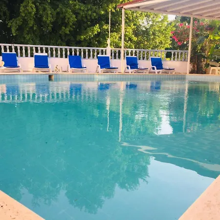 Sato 3* 페티예