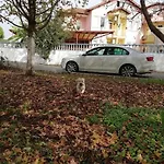Sato 3* Φετιγιέ