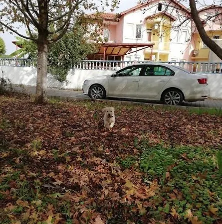 Sato 4* Фетхие